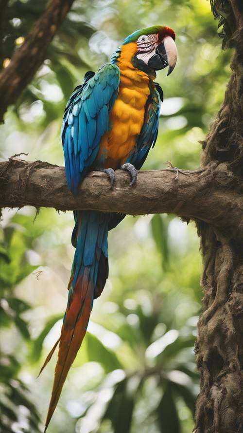 Seekor macaw yang hidup bertengger di atas pohon kapuk raksasa di jantung hutan hujan.