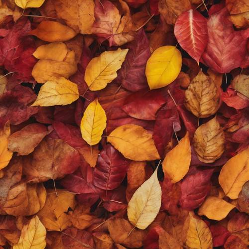 Полосы осенних листьев - красные, оранжевые и желтые.