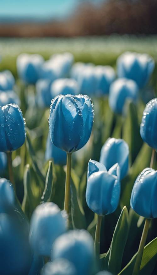 Um cacho de tulipas azuis cobertas de orvalho fresco, sob um céu azul claro.