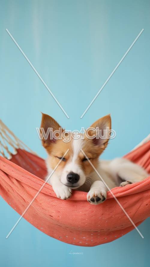 Спящий щенок в гамаке