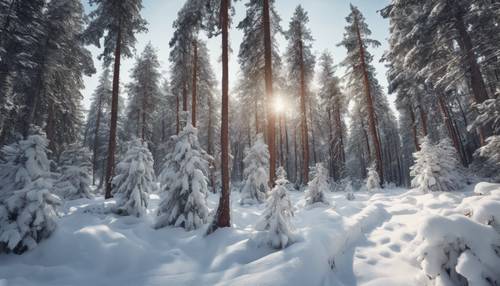 Uma vista panorâmica de uma densa floresta de coníferas coberta de neve, sob um céu claro de inverno.