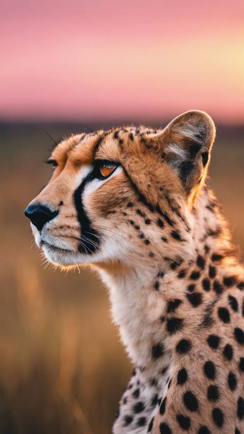 A profile view of a majestic cheetah with a glowing pink fur, standing in a vast grassland during sunset.