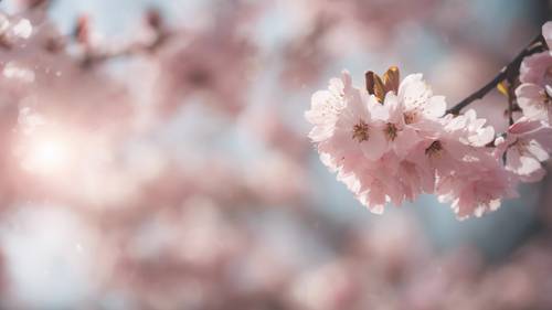 樱花在柔和的春风中飘扬，呈现出一幅空灵的梦幻景象。