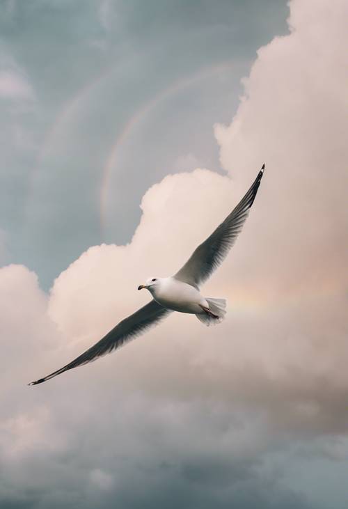 Seekor burung camar terbang di bawah pelangi lembut berwarna netral, melawan langit mendung.