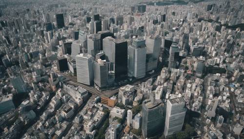 Eine Vogelperspektive der Stadt Tokio mit ihrem komplexen Netzwerk aus Gebäuden, Straßen und Bahnlinien.