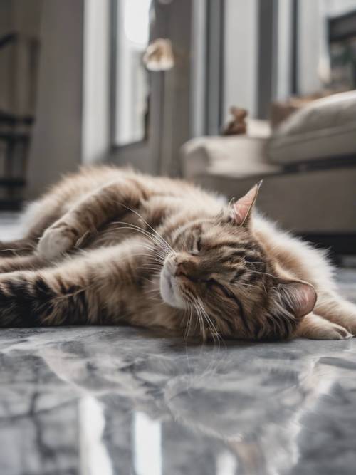 Gatti che si rilassano pigramente su un fresco pavimento di marmo grigio.