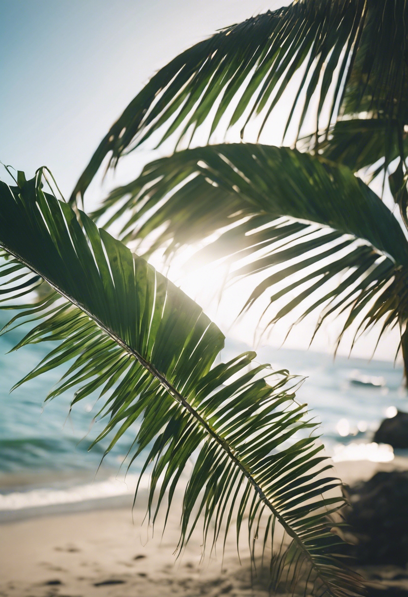 A palm leaf gently swaying in the cool ocean breeze, Island life on a sunlit day. Sfondo[d9d3c1daed574de2858d]