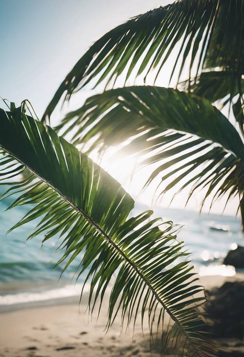 A palm leaf gently swaying in the cool ocean breeze, Island life on a sunlit day.