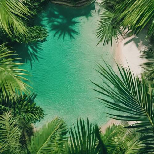 A tropical island seen from above with palm leaves in various shapes, all united in their vibrant green tones.