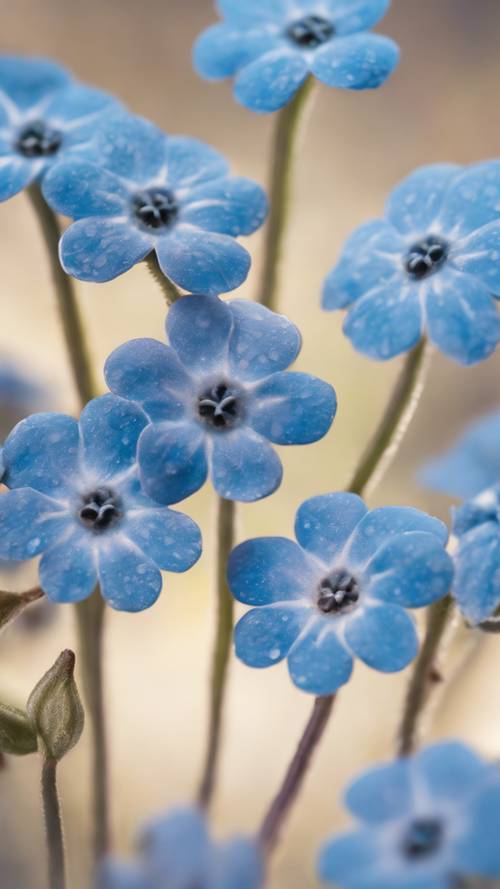 A vivid, abstract pattern of forget-me-nots in modern design.
