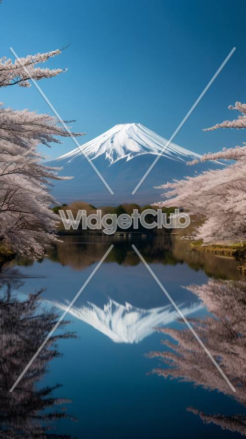 Il Monte Fuji si riflette nel lago con fiori di ciliegio