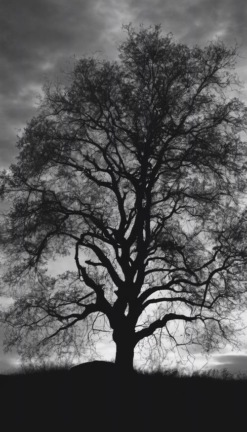 A silhouette of a lonely tree against a sunset sky, presented in black and white.