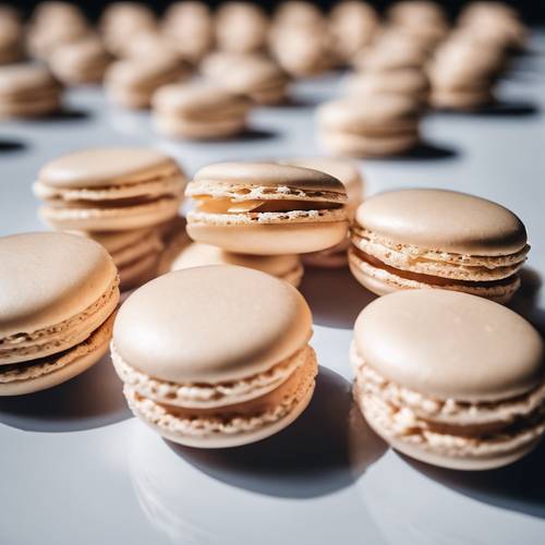 A bird's-eye-view photo of carefully aligned vanilla macarons, with one out of line.