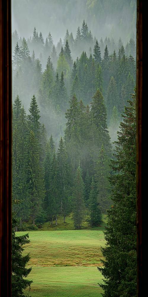 Green Wallpaper [884fb0a7822a45e98ebe]
