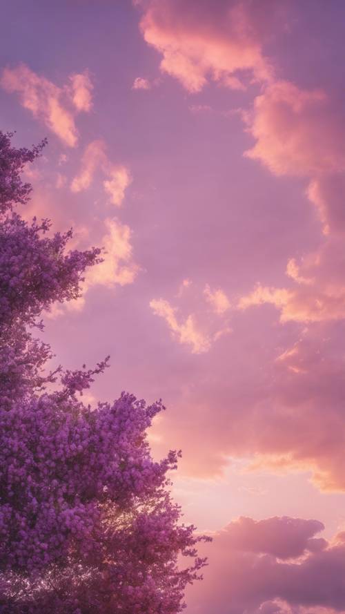 穏やかな夕焼けが空を明るいピンクとラベンダー色に照らす壁紙