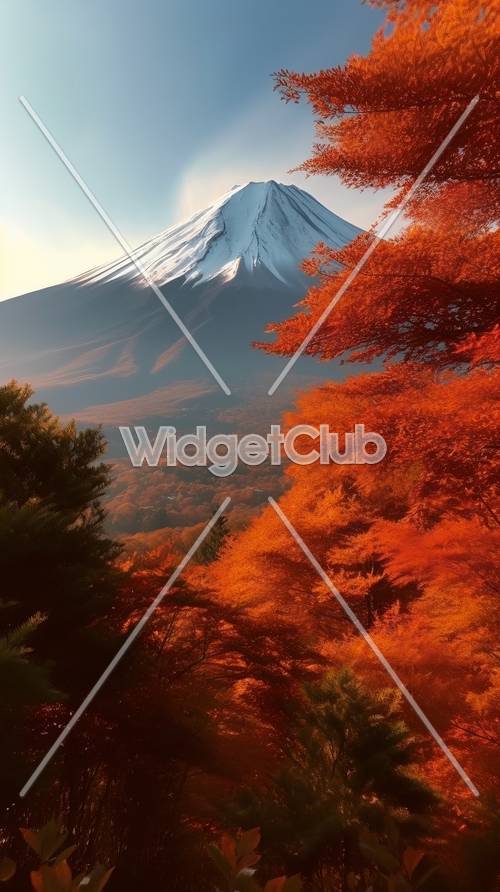 日本的秋天色彩與富士山