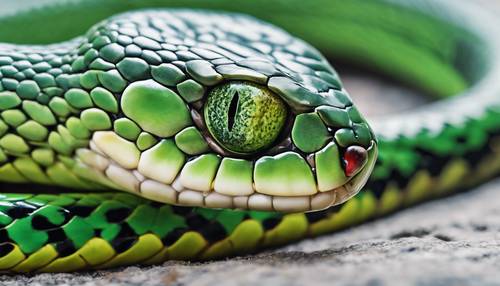 Un primo piano degli occhi di un serpente verde, il resto del suo corpo è sfocato