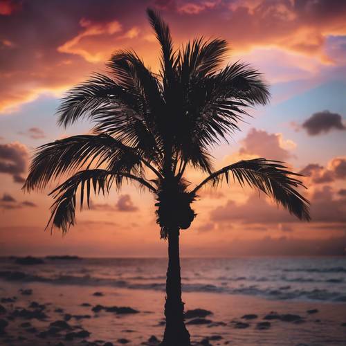 在熱帶日落的鮮豔色彩下，一棵可愛的棕櫚樹的輪廓。