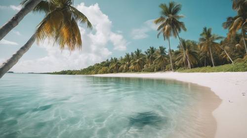 A pristine, white-sand beach with clear turquoise water, surrounded by lush palm trees.