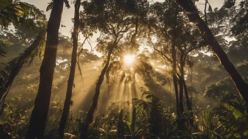 Sonnenaufgang im Amazonas-Regenwald, der goldene Lichtstrahlen durch das dichte Blätterdach wirft.