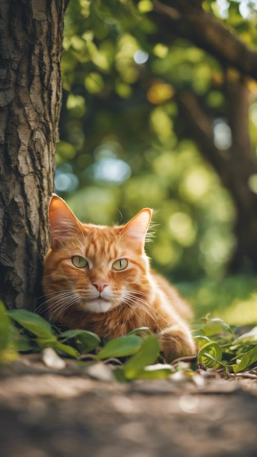 A joyful ginger cat lying lazily under the shade of a leafy tree in summer.