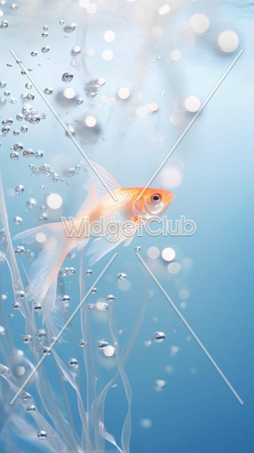 Pesce rosso che nuota tra le bolle