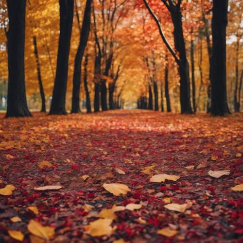 붉은색, 금색 등 온갖 색으로 물든 나무들과 낙엽이 깔린 바닥이 깔린 가을 숲.