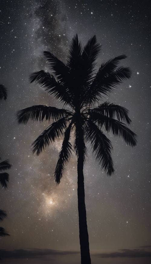 Uma única palmeira negra sob o céu estrelado da meia-noite.
