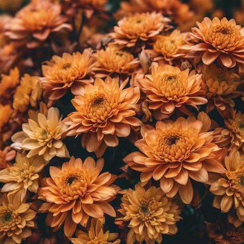 An autumnal floral pattern featuring chrysanthemums and maples leaves in vivid oranges and yellows.