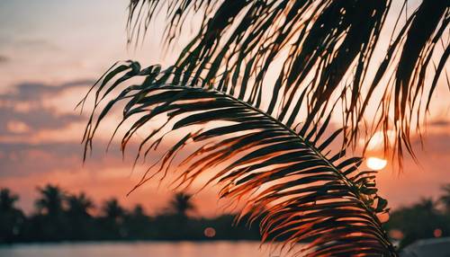 Uma folha de palmeira tropical balançando suavemente na brisa noturna com um pôr do sol ardente ao fundo.