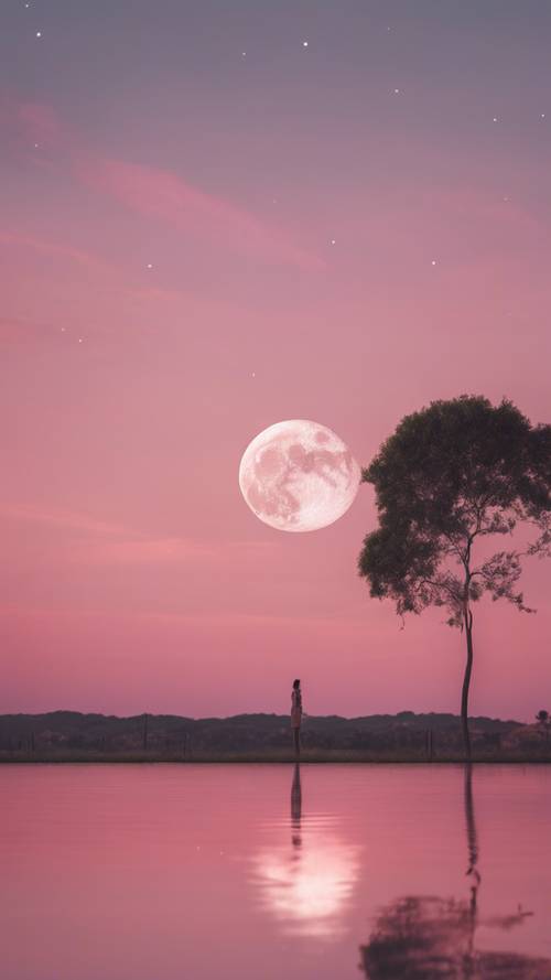 A cutesy romantic moon blushing bright, set against a pastel pink sunset.