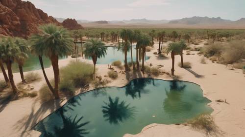 An aerial view of a desert oasis, with green palm trees and a freshwater pool visible.