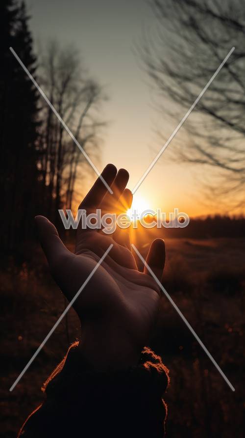 Coucher de soleil dans la paume de votre main