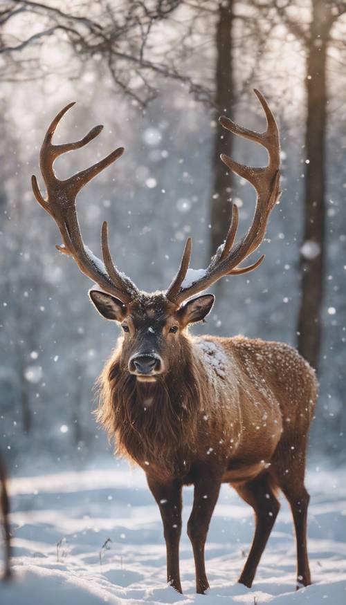 A magical scene of a standing brown stag with its majestic antlers, looking at a Christmas star in a snowy meadow.