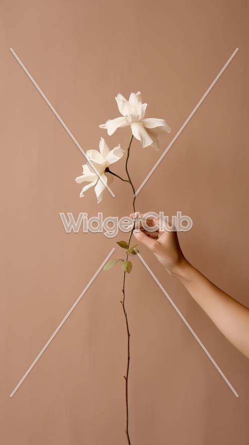手に持ったエレガントな白い花の壁紙