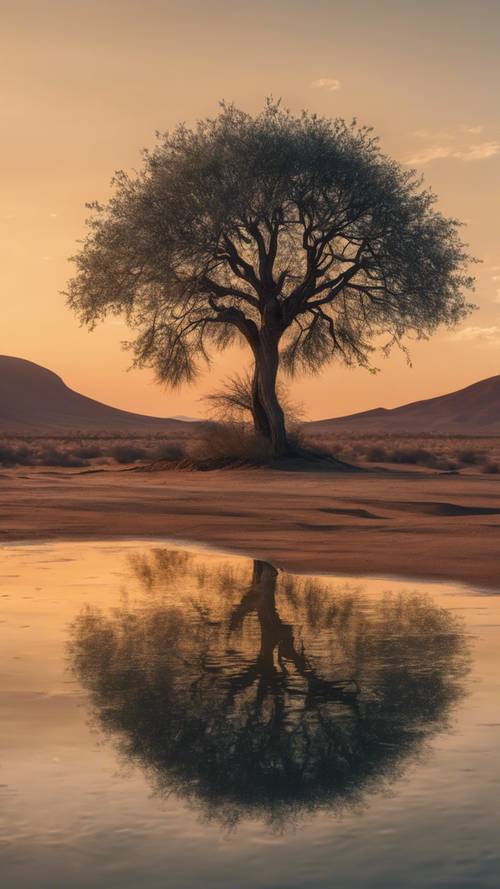 一棵樹，在夕陽下，孤獨地矗立在廣闊的沙漠中央，體現著毅力。