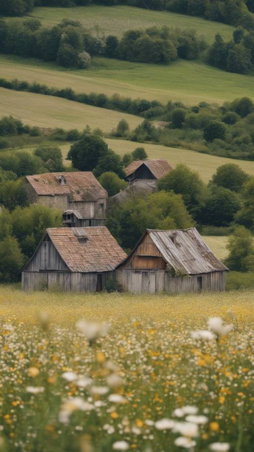 Un groupe de granges rustiques de campagne française, aux toits décolorés par le temps, entourées de prairies fleuries.