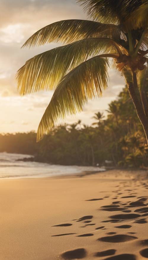 Spokojna hawajska plaża o wschodzie słońca, ze złotym światłem odbijającym się od powierzchni łagodnego morza.