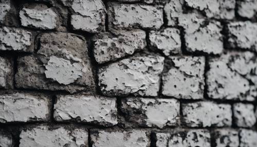 흰색 시멘트와 대조되는 검은 벽돌의 질감을 클로즈업