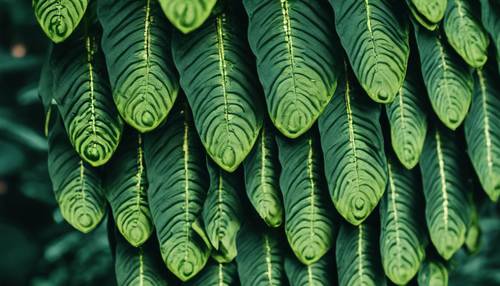 Close up view of the dark green scales of a leaf from a tropical fern.