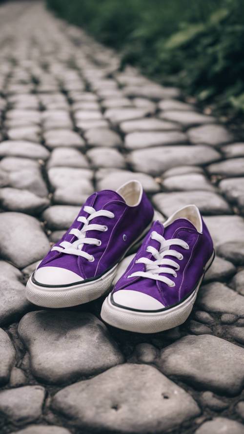 A pair of classic purple and white striped canvas shoes on a cobblestone path.