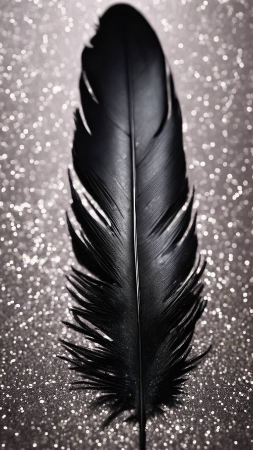 黒い輝きの羽根の壁紙
