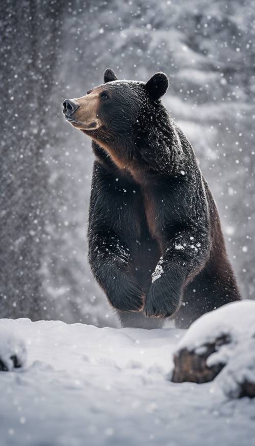 Un ours noir dans un paysage enneigé, gambadant de joie sous la neige qui tombe.