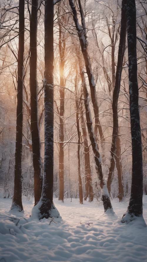 Une forêt enneigée baignée par la douce lueur du crépuscule.