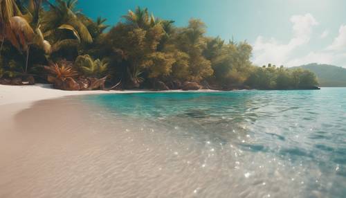 A visual of an exotic beach with crystal clear waters, bright coral reefs visible beneath the surface.