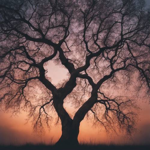 Un albero con rami intrecciati che ricordano la forma di un cuore sotto il crepuscolo.
