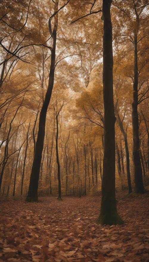 Pemandangan hutan dari dekat saat musim gugur dengan dedaunan di pepohonan yang berubah warna dari coklat tua di pangkal menjadi coklat muda di ujung, menciptakan efek ombre coklat.