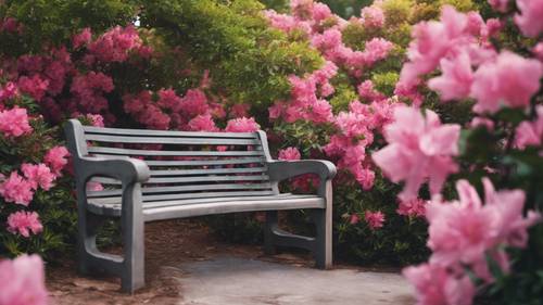 Un acogedor banco de parque situado junto a un macizo de azaleas en flor.