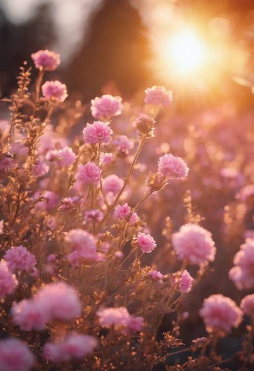Altın gün batımının altında pembe çiçeklerden oluşan romantik bir sahne.