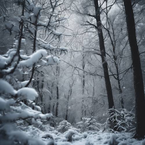 Uma floresta escura dominada pelo frio do inverno, flocos de neve decorando suavemente os galhos das árvores altas.